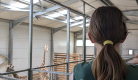 Visite du bâtiment des girafes