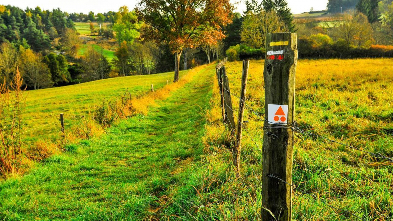 L'Arzon et ses affluents