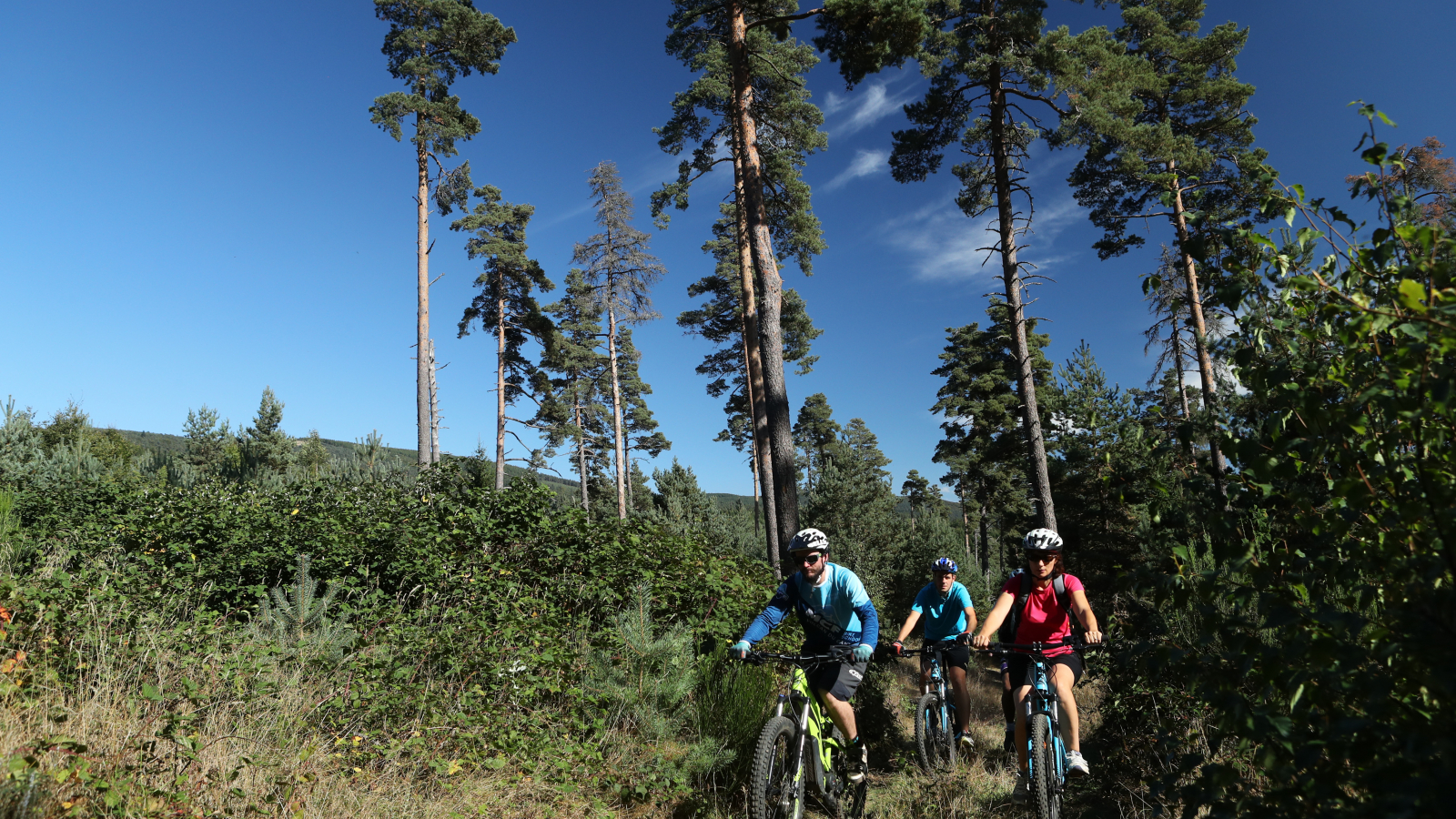 chemin en VTT saint-flour cantal