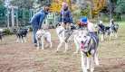 La Grange des Huskies