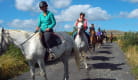 Ferme Equestre des Burons - Riding Centre