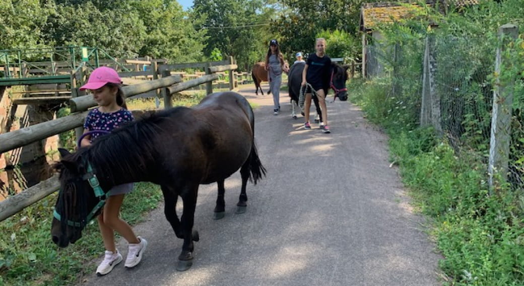 ADADA : Balades à poneys