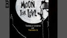 'In the moon for love' : tableaux lunaires par Yannick G