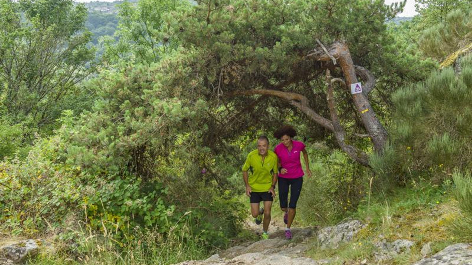 Sur les hauts chemins