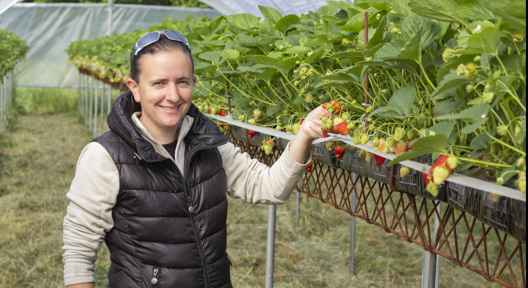 G.I.E. des producteurs de fruits rouges des Monts du Velay