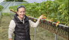 G.I.E. des producteurs de fruits rouges des Monts du Velay