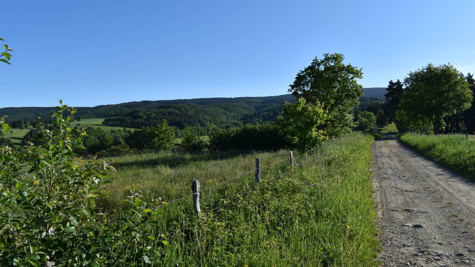 Le Ruisseau de Lafont