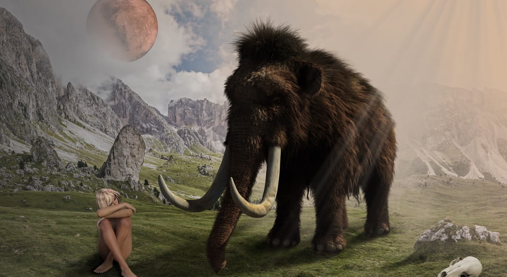 Quelle histoire… de mammouths ! | Musée Bargoin