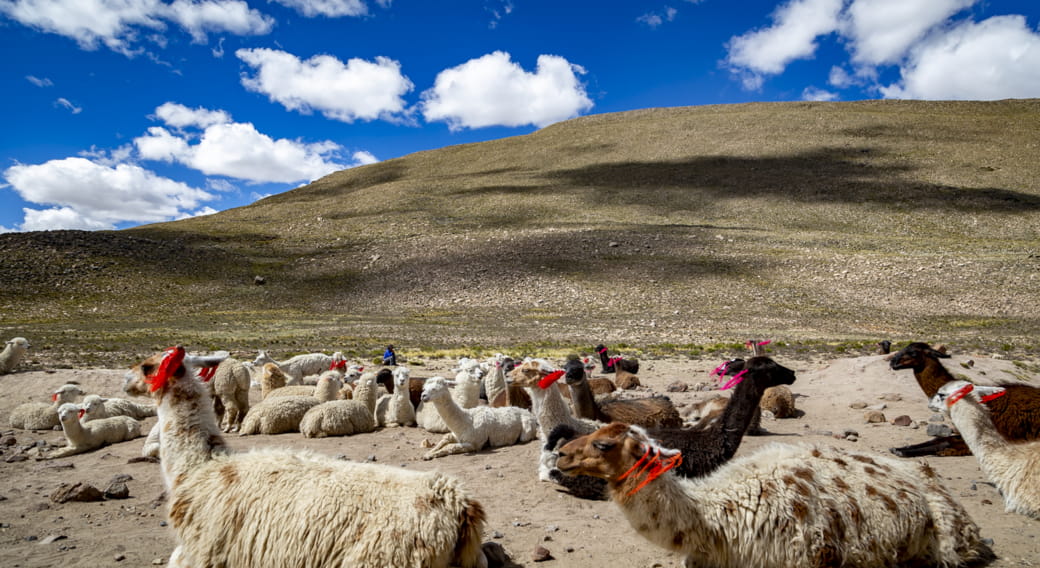 Terre d’Horizons : Pérou, par delà les chemins sacrés | Théâtre Cornillon