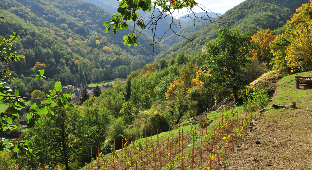 Pailhats de Courgoul : terrasses cultivées