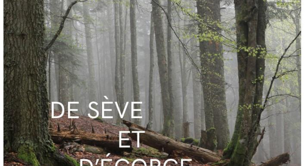 EXPOSITION 'DE SÈVE ET D'ÉCORCE : ÉLOGE DES VIEILLES FORÊTS'