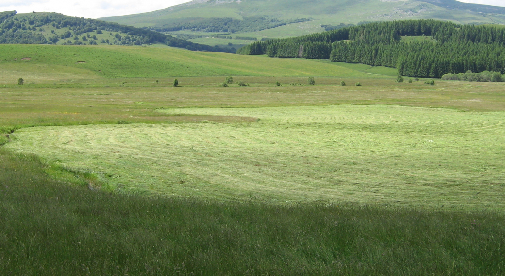 Conférence : Sancy sauvage, biodiversité et volcanisme