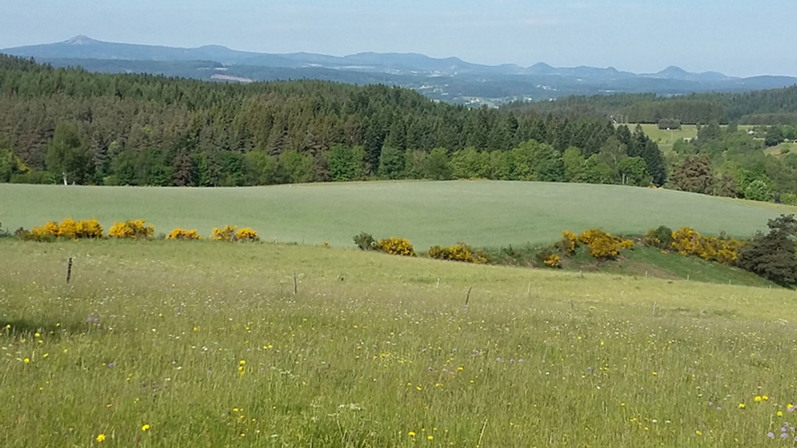 Vue sur les sucs depuis le Mas-de-Tence