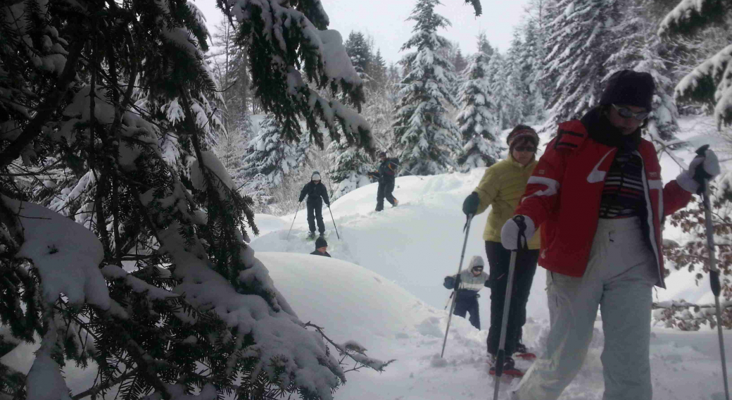 Randonnée accompagnée : Escapade Nordique dans les Bois Mary