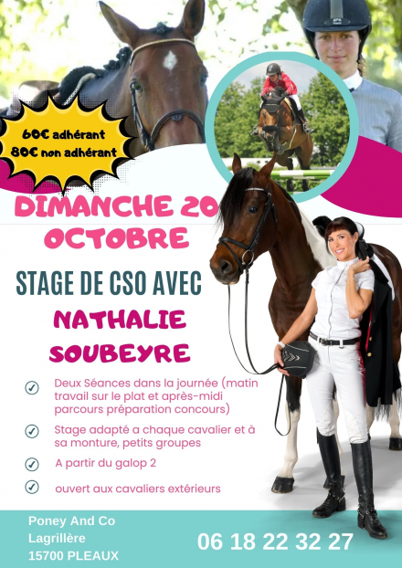 Stage CSO avec Nathalie Soubeyre