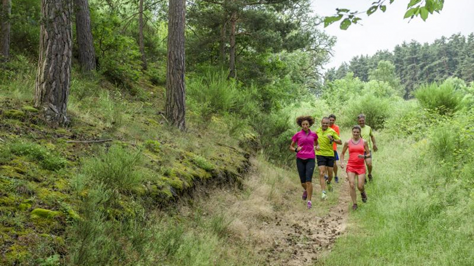 Trailleurs dévalant les pentes