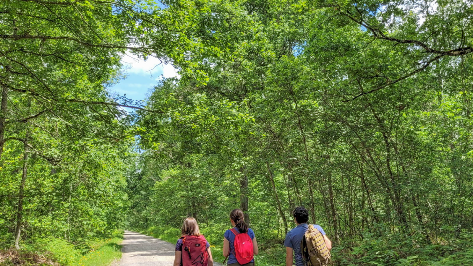 PR 2 : Parcours de la forêt de Bagnolet