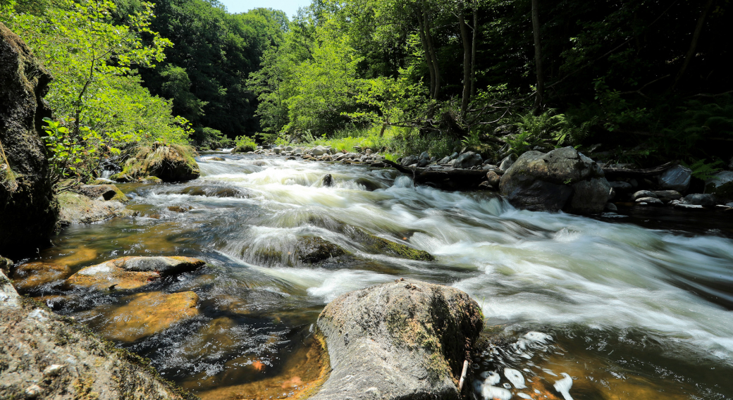 Rivière la Sumène