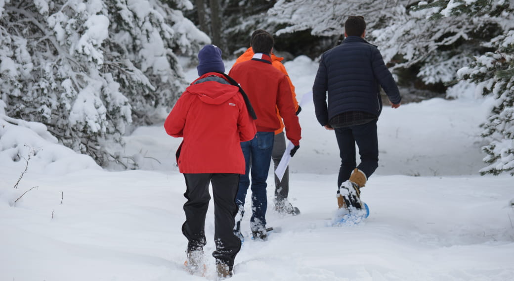 Les nocturnes de Prat de Bouc: guided snowshoe outing