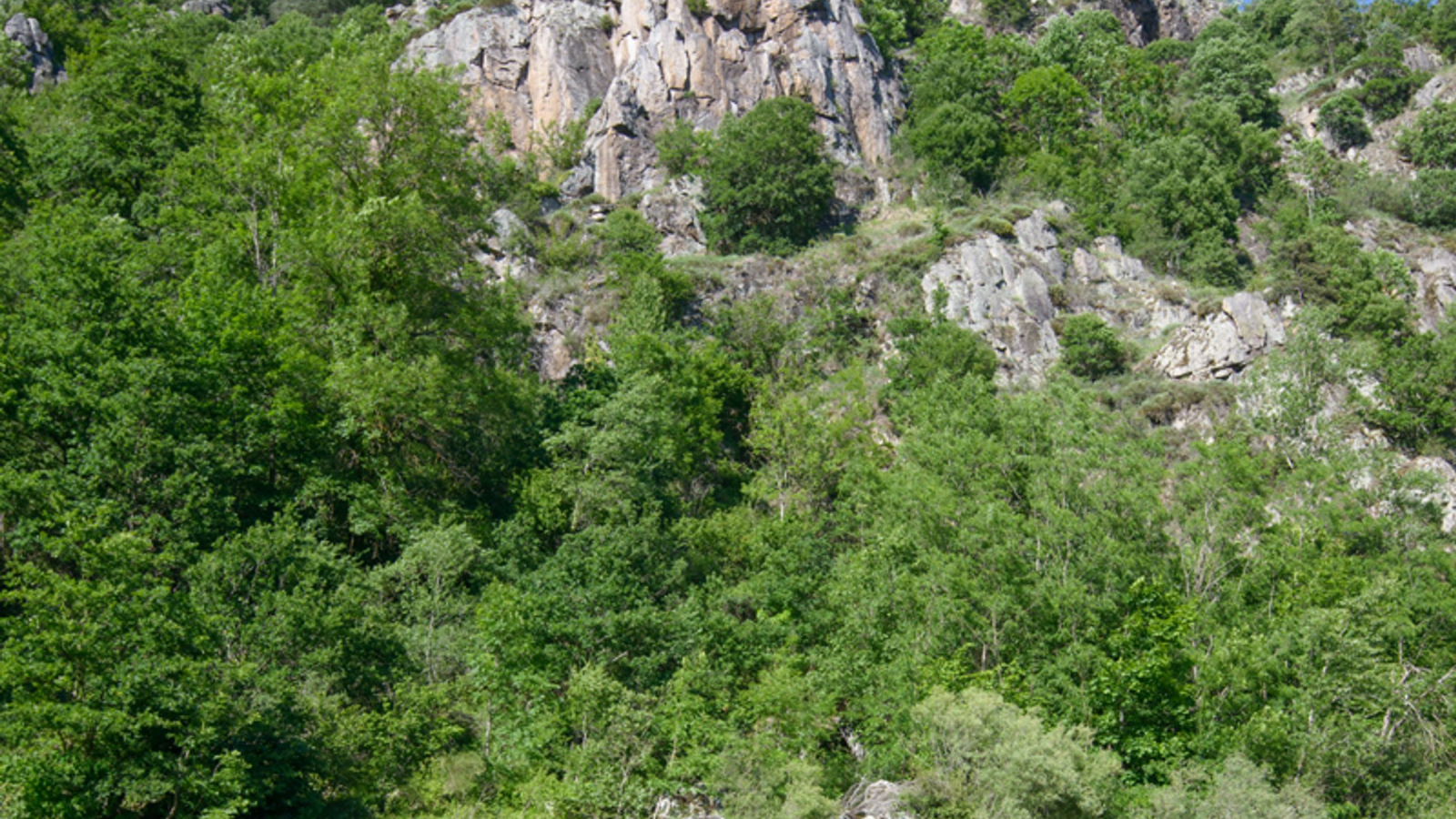 La Loire au Chambon-sur-Loire