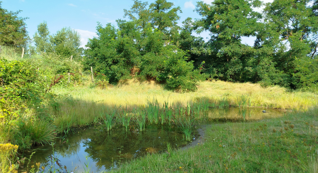 Chantier nature à l'Ecopôle du Val d'Allier