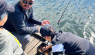 Initiation à la pêche au coup au lac d'Aydat | Pavillon Bleu