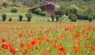 Ferme de Vazerat