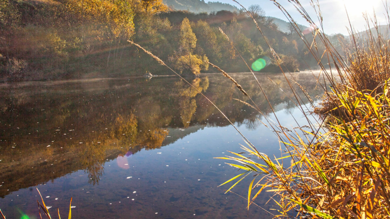 La Loire en automne