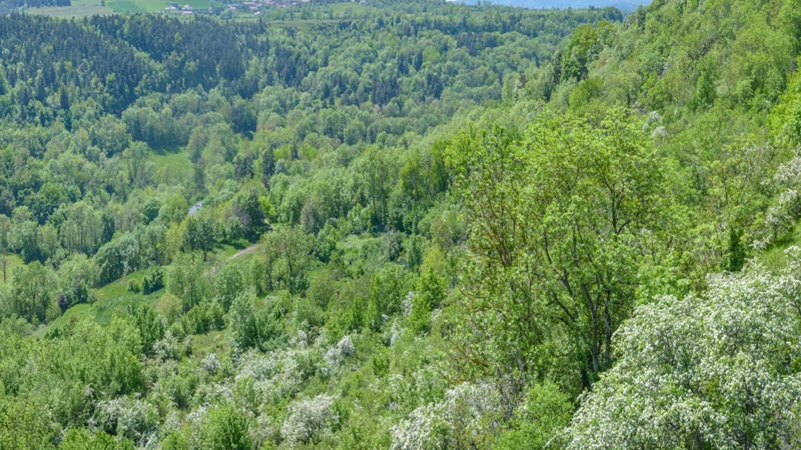 Vallée du Dolaizon