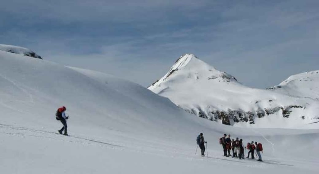 Bureau du Puy Mary