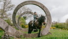 Horse riding - La Ferme de la Marinette