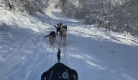 Journée balade en traîneau à chiens et repas au buron