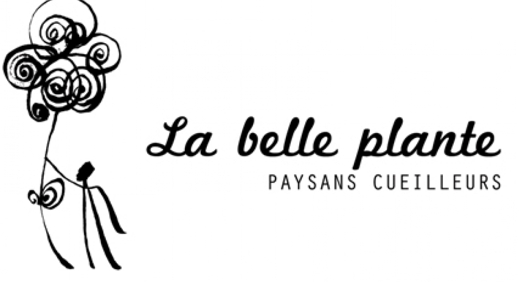 Logo la belle plante