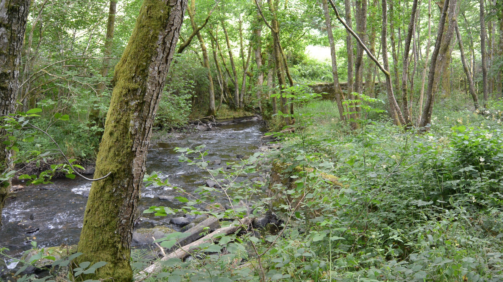 La vallée de la Clidane