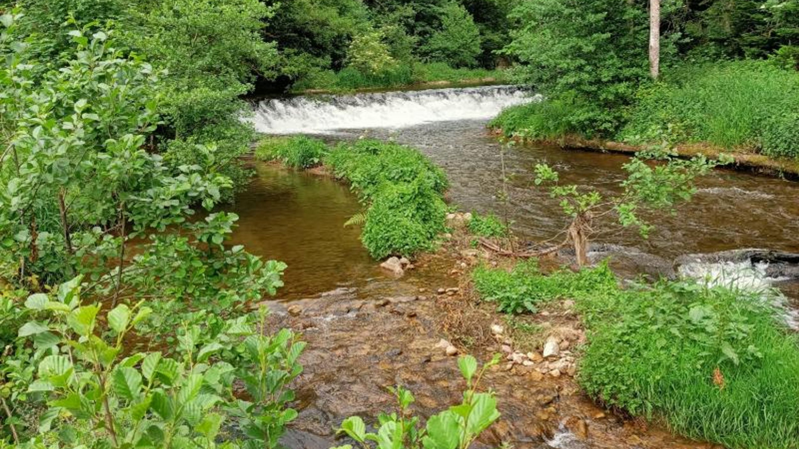 PR293 Le moulin du Pré