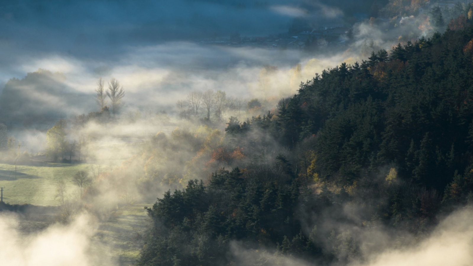 Brume dans les gorges de l'Allier