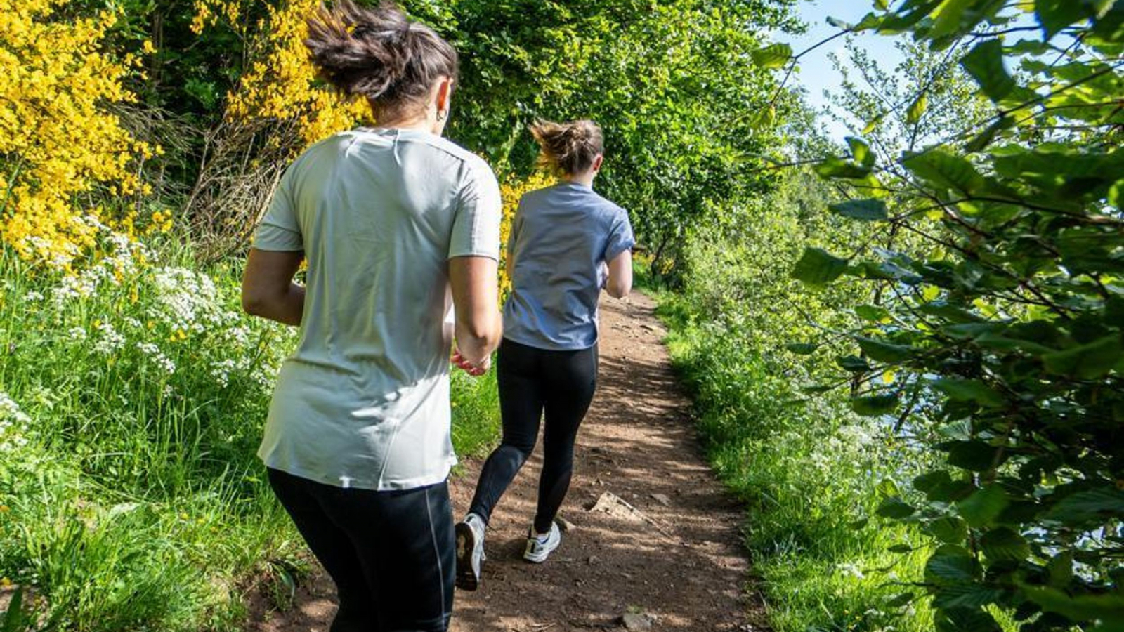 trail dans les gorges de l'Allier