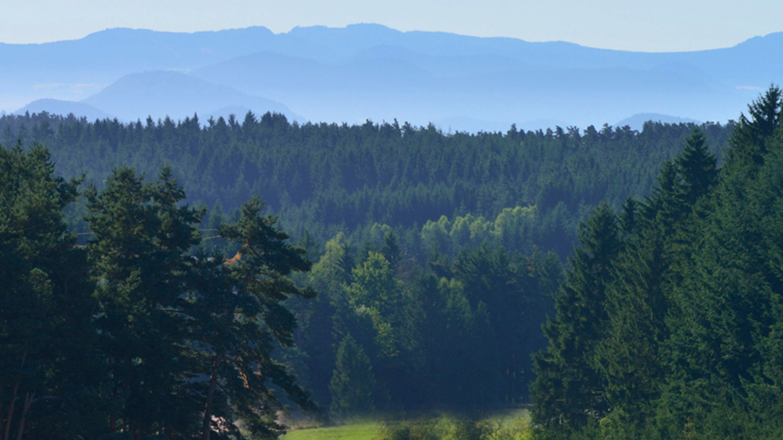 Vue sur le Livradois Forez