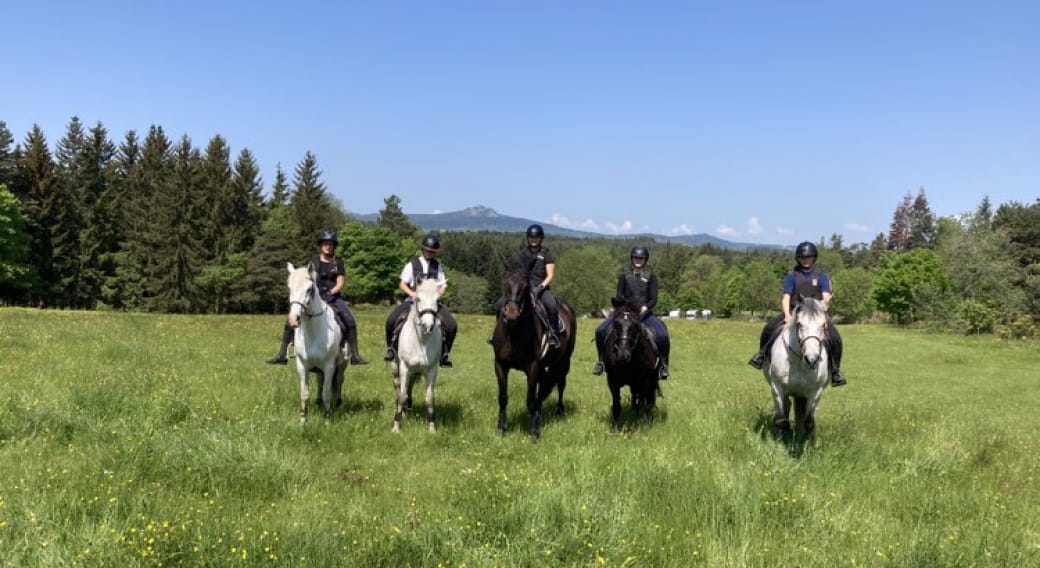 Semaine gourmande : poneys déguisés