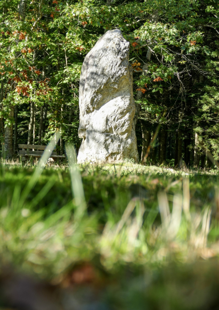 Menhir du Bois des Brosses