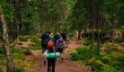 Randonnée et Bivouac en Auvergne accompagnée 4 jours