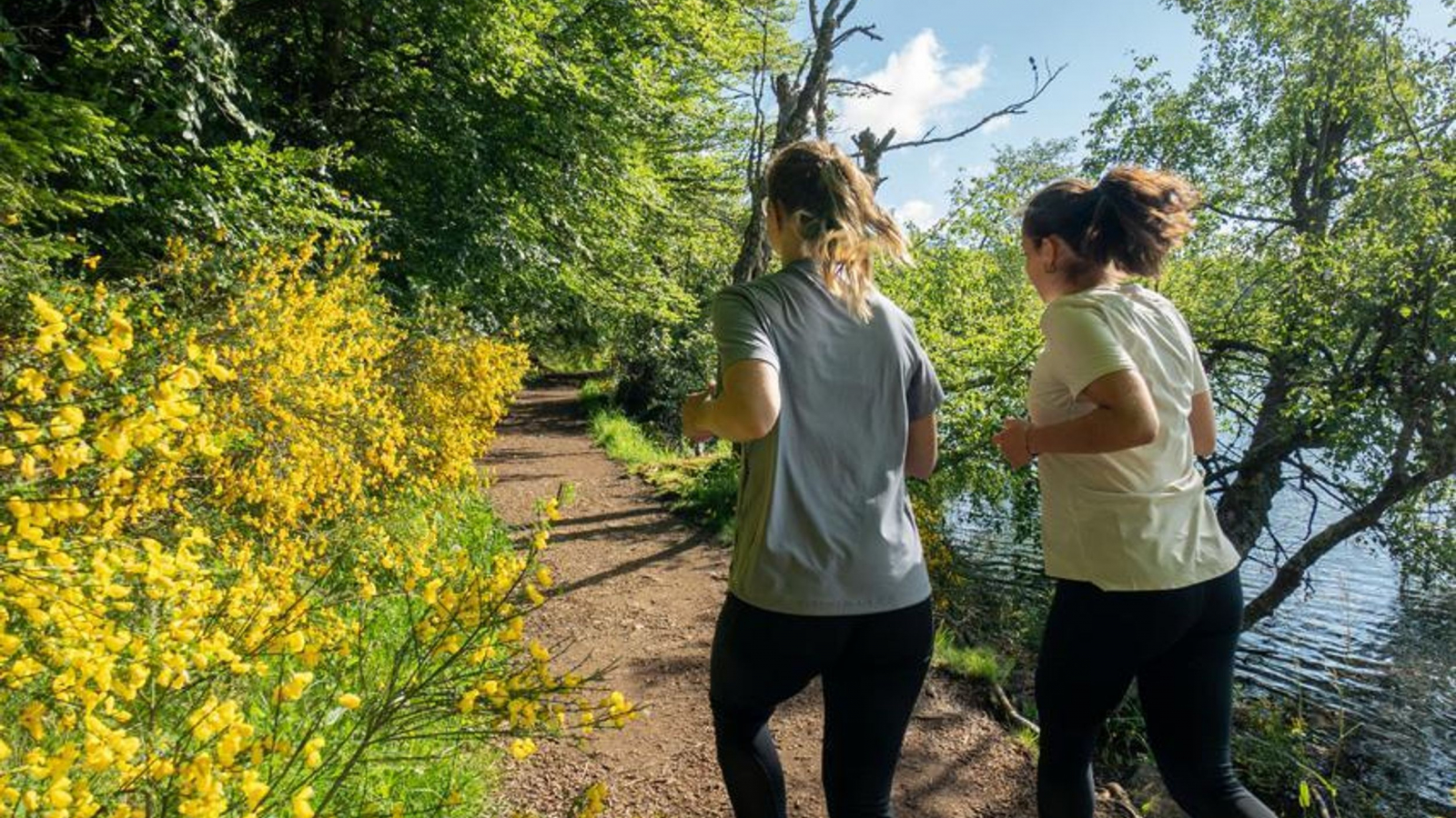 Trail sur le plateau du Devès