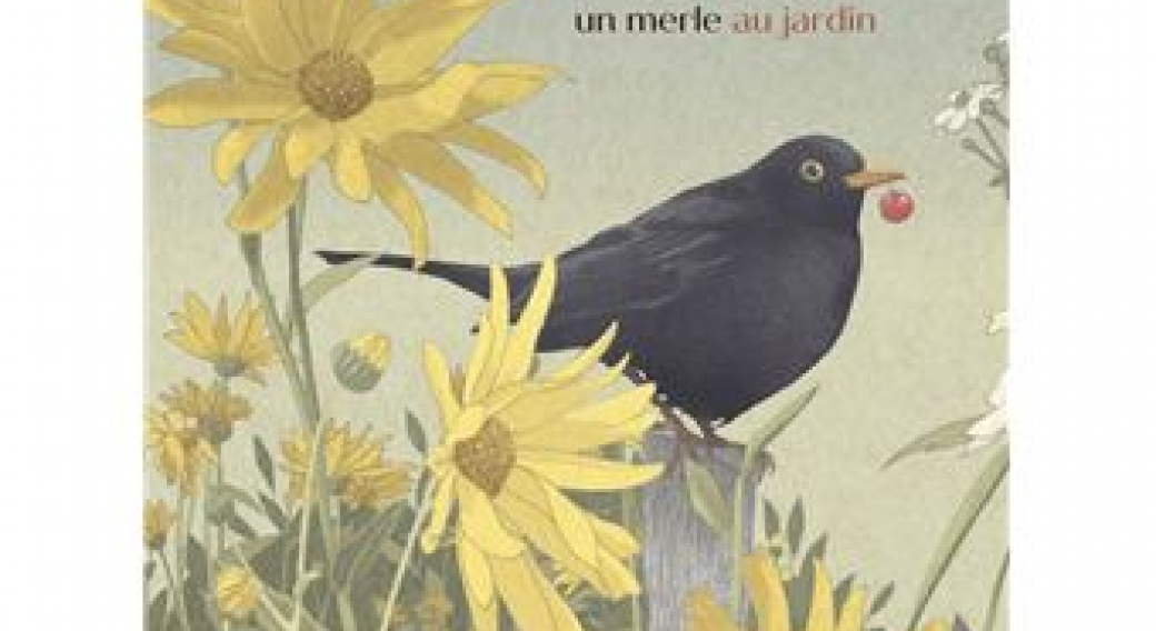 Page de couverture-Tino, un merle au jardin