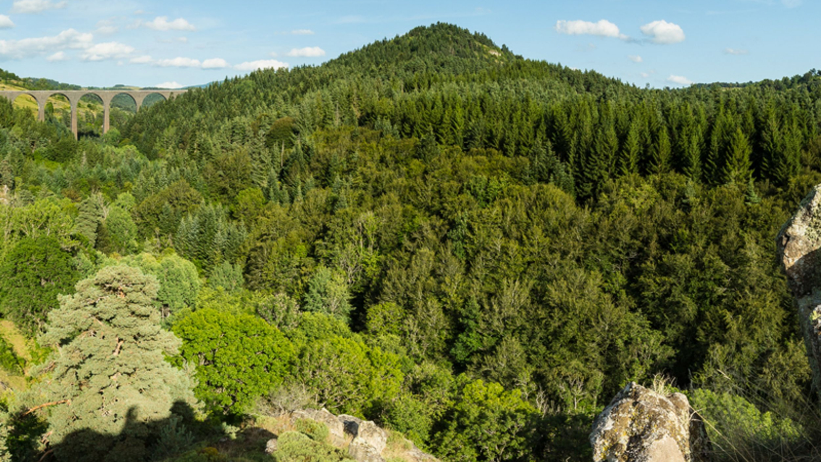 Viaduc de la Recoumène