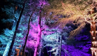 Auvèrnha : Parcours nocturne conté, son et lumières | La forêt des Arboris