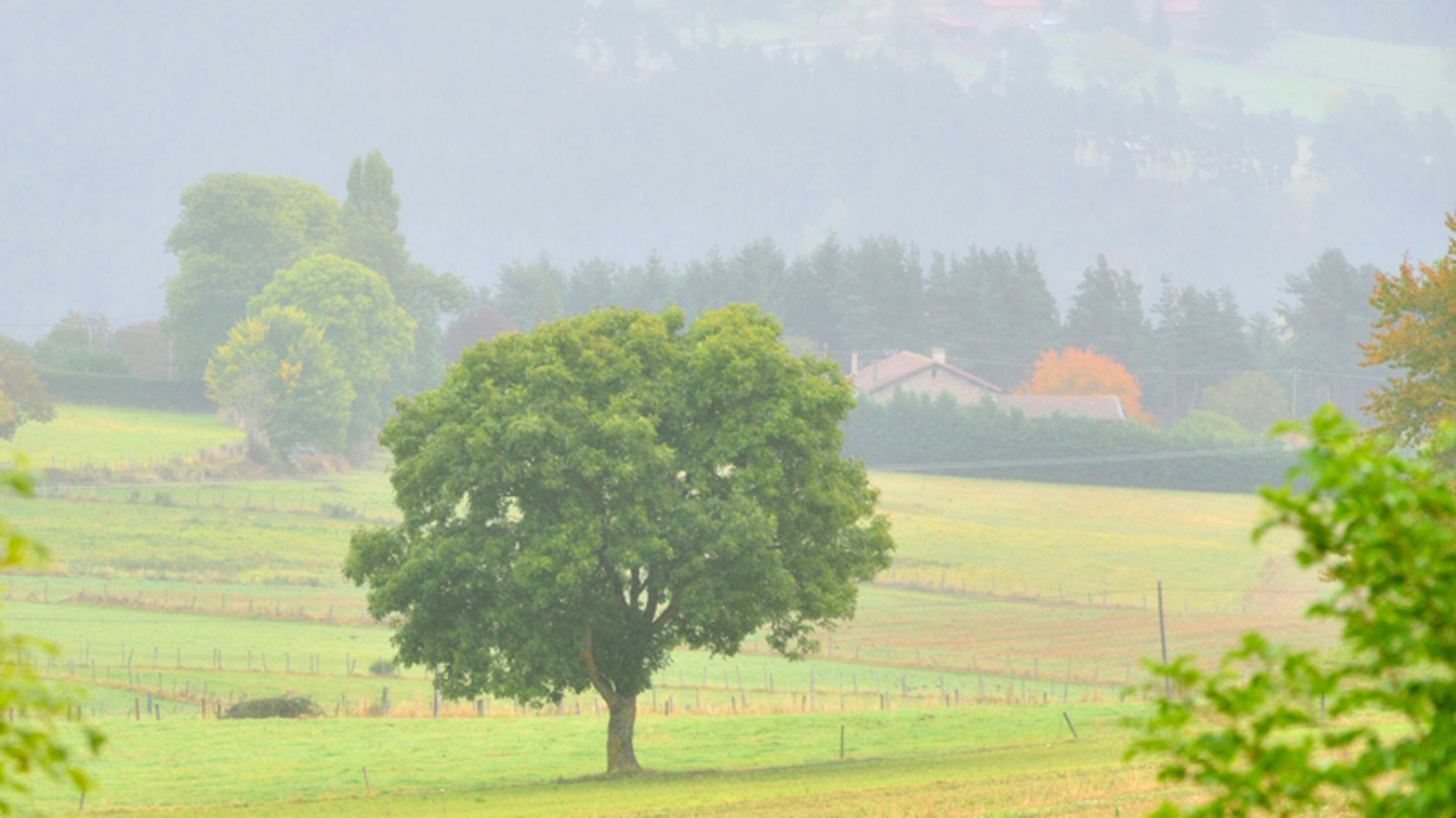 Plateau de Craponne