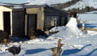 Escapade en montagne et goûter à la ferme