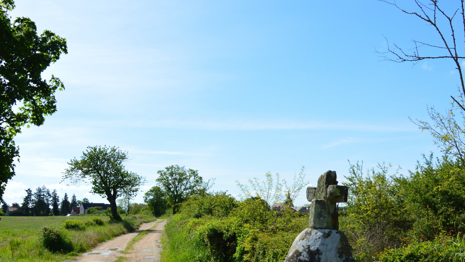 Menhir Christianisé, Venas