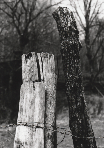 Exposition : photo argentique en noir et blanc sur le thème des reflets