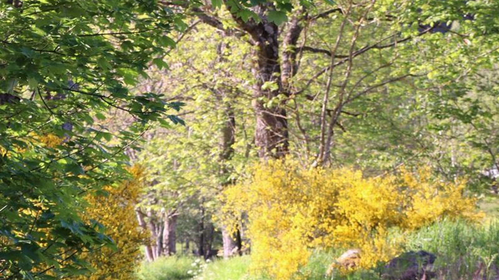 Dans les chemins en VTT